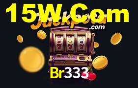 Premium Interface Br333