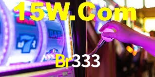 Programa VIP Br333