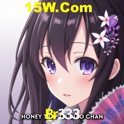 Flash Promotion Br333