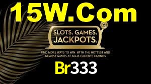Br333 App